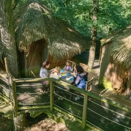 à Magné - 6 Pers. - Api-1-52-2259 Camping *
