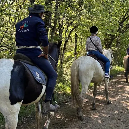 营地 A - 6 Pers. - Api-1-52-2259 Magne (Vienne)